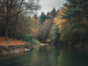 How does biodiversity loss impact human health?