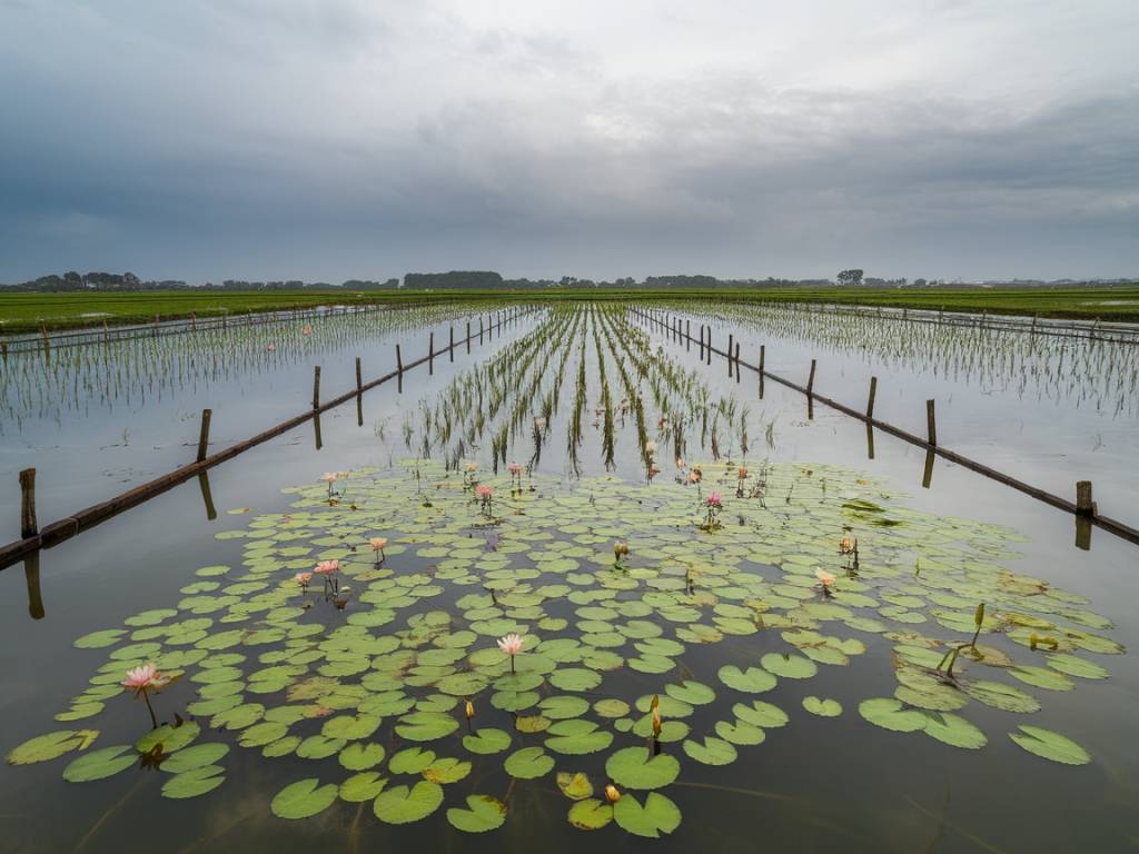 How does global warming affect food security and public health?