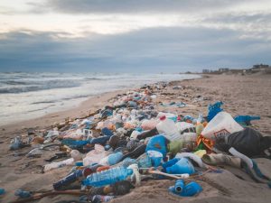 The impact of plastic waste on oceans and human health